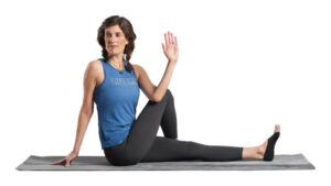 seated torso rotation